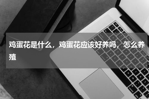 鸡蛋花是什么，鸡蛋花应该好养吗，怎么养殖