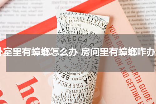 卧室里有蟑螂怎么办 房间里有蟑螂咋办