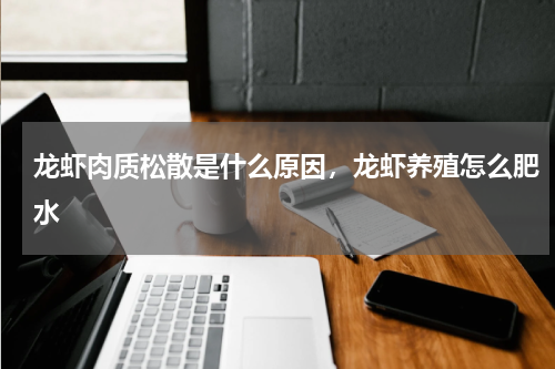 龙虾肉质松散是什么原因，龙虾养殖怎么肥水