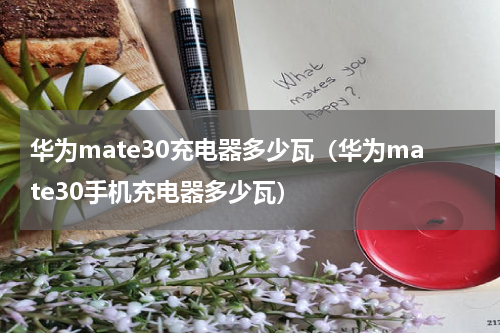 华为mate30充电器多少瓦（华为mate30手机充电器多少瓦）