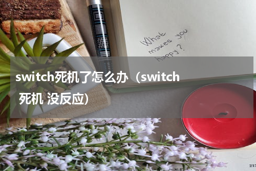 switch死机了怎么办（switch 死机 没反应）