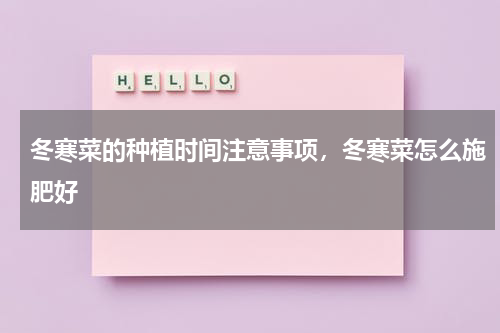 冬寒菜的种植时间注意事项，冬寒菜怎么施肥好