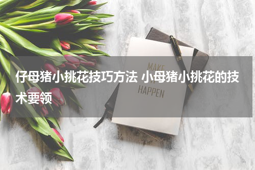 仔母猪小挑花技巧方法 小母猪小挑花的技术要领