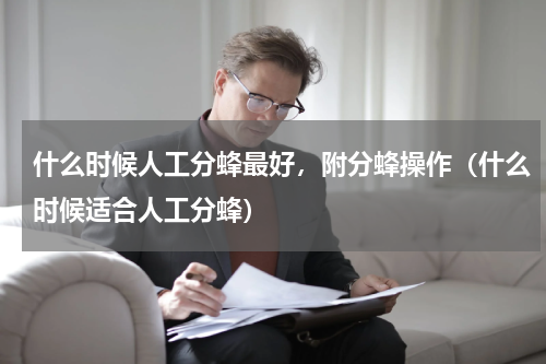 什么时候人工分蜂最好，附分蜂操作（什么时候适合人工分蜂）