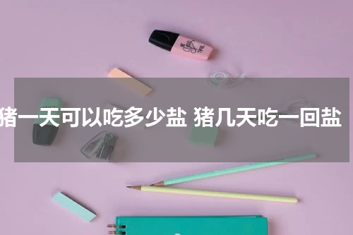 猪一天可以吃多少盐 猪几天吃一回盐