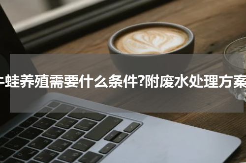 牛蛙养殖需要什么条件?附废水处理方案