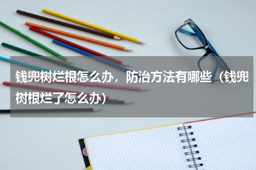 钱兜树烂根怎么办，防治方法有哪些（钱兜树根烂了怎么办）
