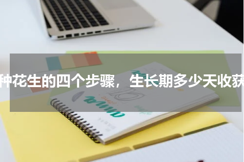种花生的四个步骤，生长期多少天收获