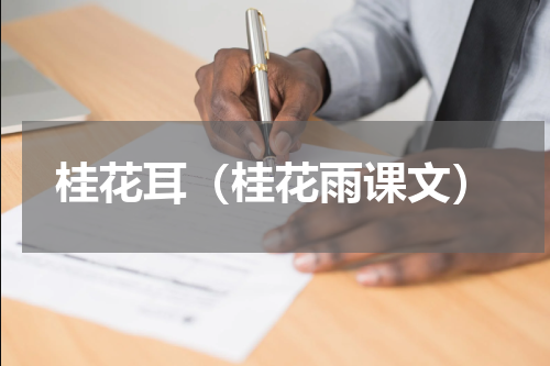 桂花耳（桂花雨课文）