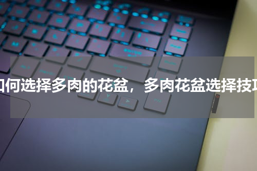 如何选择多肉的花盆，多肉花盆选择技巧