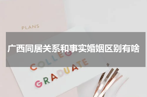 广西同居关系和事实婚姻区别有啥
