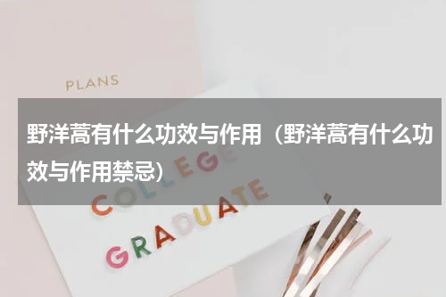 野洋蒿有什么功效与作用（野洋蒿有什么功效与作用禁忌）