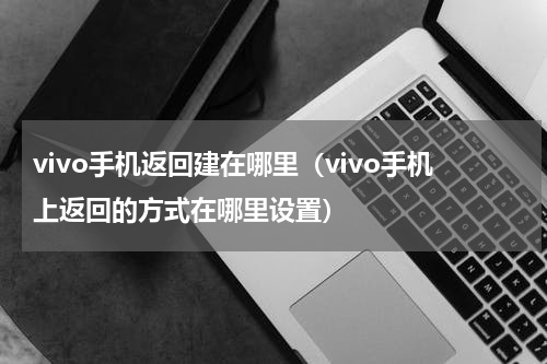 vivo手机返回建在哪里（vivo手机上返回的方式在哪里设置）