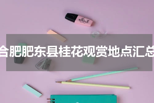 合肥肥东县桂花观赏地点汇总