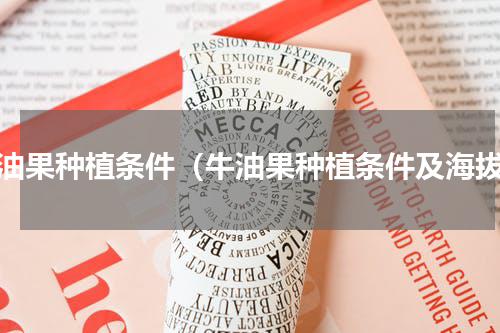 牛油果种植条件（牛油果种植条件及海拔）