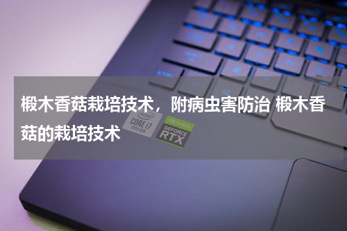 椴木香菇栽培技术，附病虫害防治 椴木香菇的栽培技术
