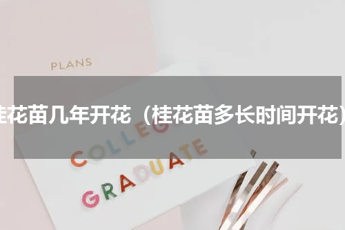 桂花苗几年开花（桂花苗多长时间开花）
