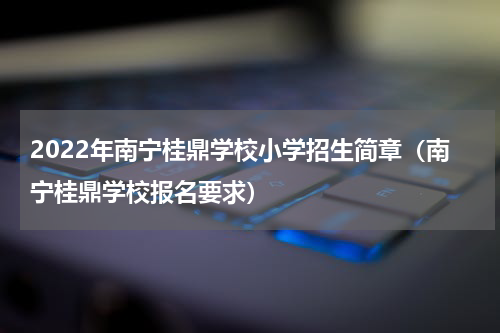 2022年南宁桂鼎学校小学招生简章（南宁桂鼎学校报名要求）