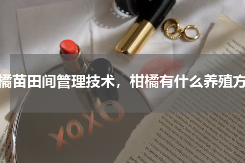 柑橘苗田间管理技术，柑橘有什么养殖方法