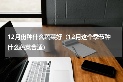 12月份种什么蔬菜好（12月这个季节种什么蔬菜合适）