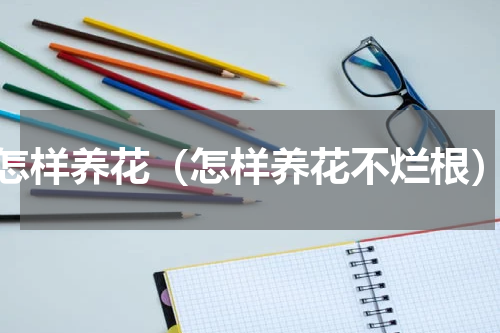 怎样养花（怎样养花不烂根）