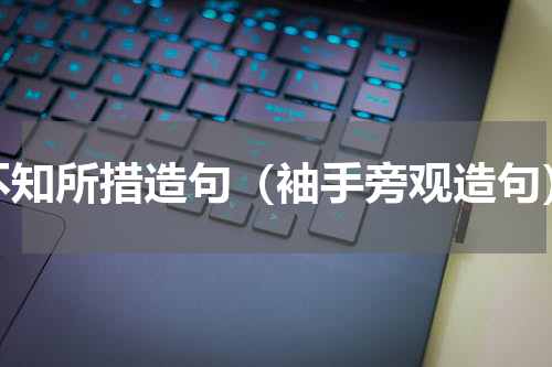 不知所措造句（袖手旁观造句）