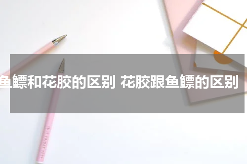 鱼鳔和花胶的区别 花胶跟鱼鳔的区别