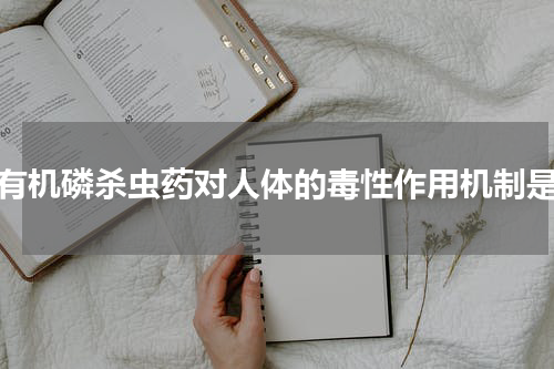 有机磷杀虫药对人体的毒性作用机制是