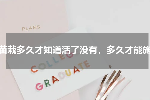树苗栽多久才知道活了没有，多久才能施肥