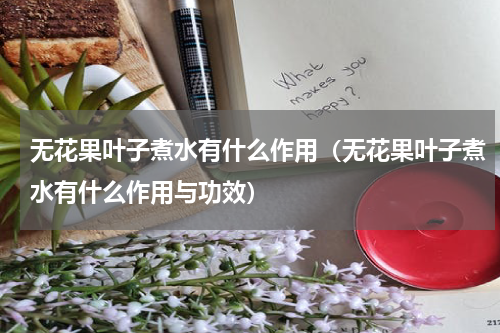 无花果叶子煮水有什么作用（无花果叶子煮水有什么作用与功效）