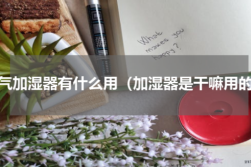 空气加湿器有什么用（加湿器是干嘛用的）