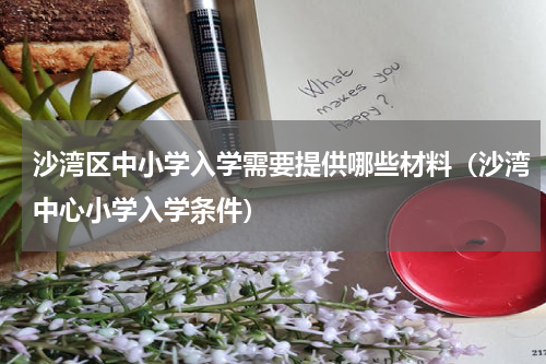 沙湾区中小学入学需要提供哪些材料（沙湾中心小学入学条件）