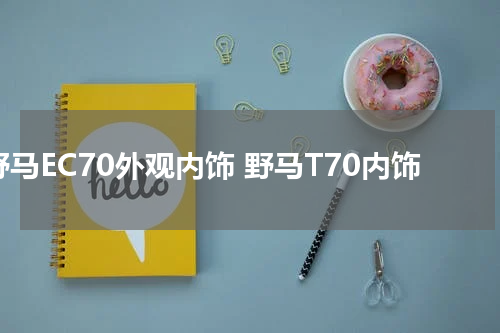 野马EC70外观内饰 野马T70内饰
