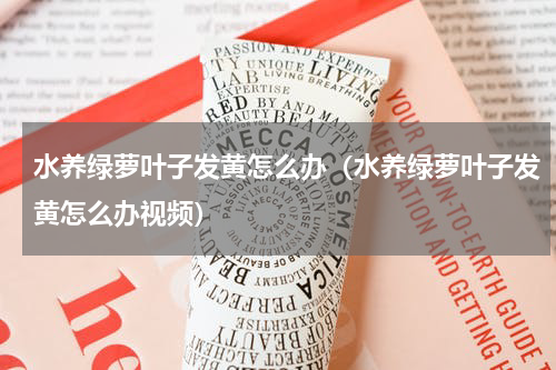 水养绿萝叶子发黄怎么办（水养绿萝叶子发黄怎么办视频）