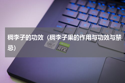 稠李子的功效（稠李子果的作用与功效与禁忌）