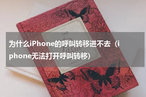 为什么iPhone的呼叫转移进不去（iphone无法打开呼叫转移）
