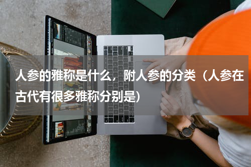 人参的雅称是什么，附人参的分类（人参在古代有很多雅称分别是）