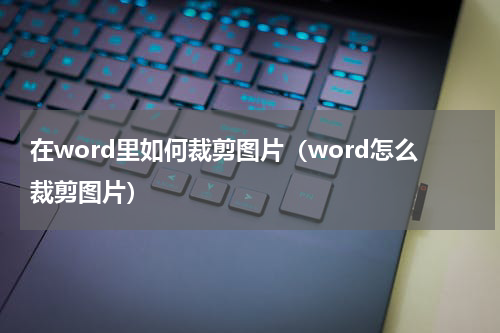 在word里如何裁剪图片（word怎么裁剪图片）