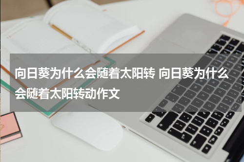 向日葵为什么会随着太阳转 向日葵为什么会随着太阳转动作文