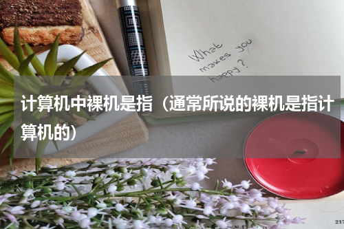 计算机中裸机是指（通常所说的裸机是指计算机的）