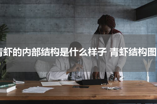 青虾的内部结构是什么样子 青虾结构图