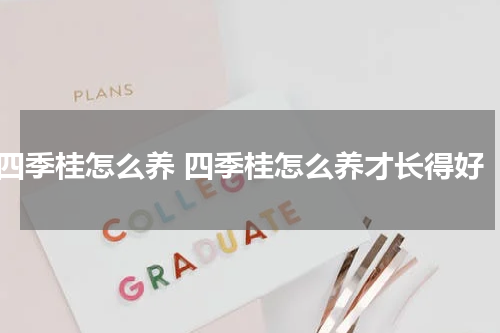 四季桂怎么养 四季桂怎么养才长得好