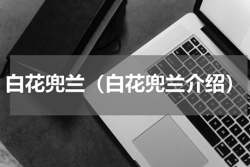 白花兜兰（白花兜兰介绍）