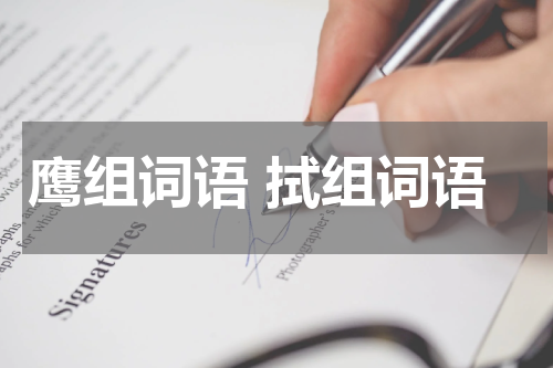 鹰组词语 拭组词语