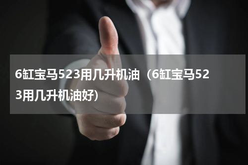 6缸宝马523用几升机油（6缸宝马523用几升机油好）