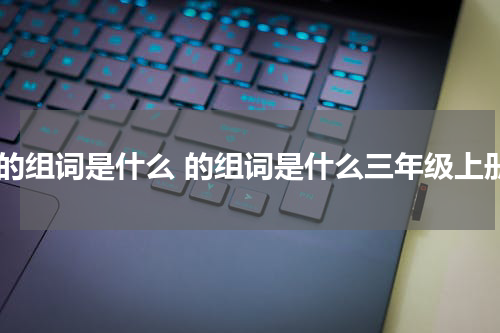 赠的组词是什么 的组词是什么三年级上册