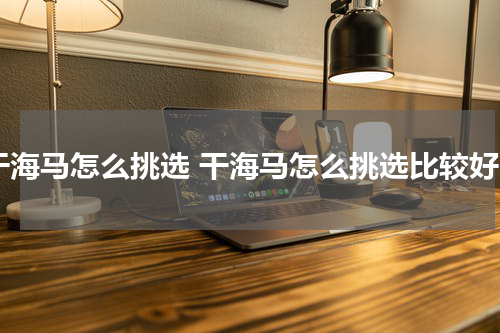 干海马怎么挑选 干海马怎么挑选比较好