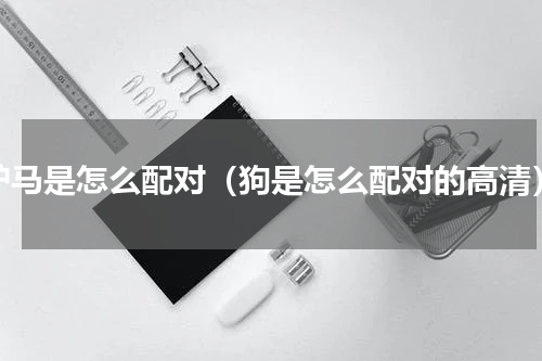 驴马是怎么配对（狗是怎么配对的高清）