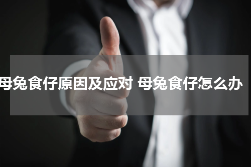 母兔食仔原因及应对 母兔食仔怎么办