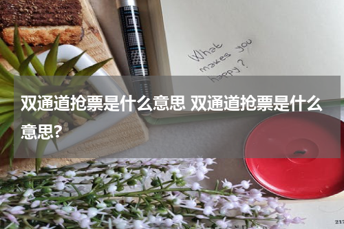 双通道抢票是什么意思 双通道抢票是什么意思?